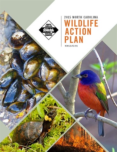 State Wildlife Action Plan Receives Federal Go-Ahead