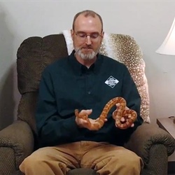 Conservation Conversation Vlog - Snakes of North Carolina with Biologist Jeff Hall