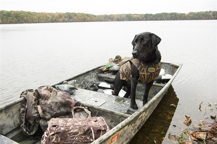Wildlife Commission Urges Waterfowl Hunters to Become Mentors