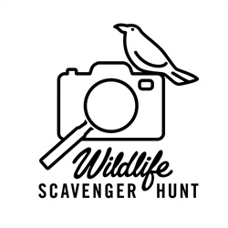 Wildlife Commission Presents Outdoor Scavenger Hunt