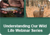 Understanding Our Wild Life Webinar Series