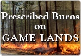 Prescribed Burns on Game Lands