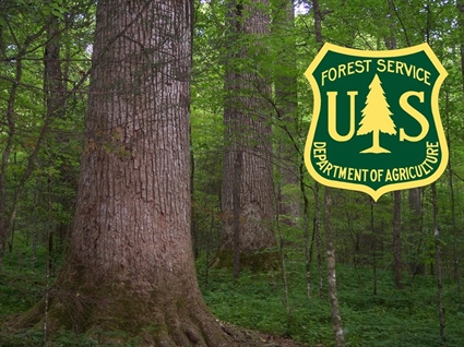 Wildlife Commission Supports U.S. Forest Service’s Proposed Management Areas