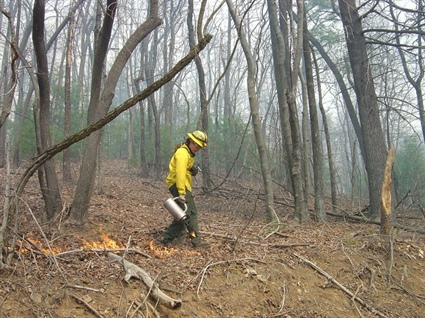 Prescribed Fire to Burn 1,600 Acres in Burke and Rutherford Counties