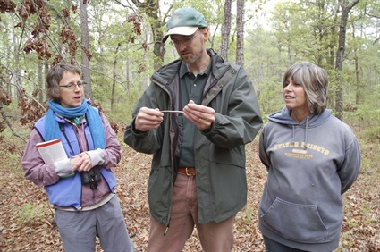 Learn about Snakes at New Bern Workshop in June