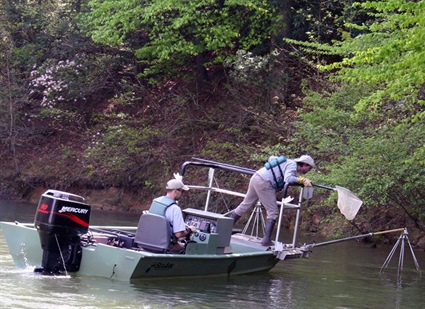 New Black Bass Length Limit for Western North Carolina Waters in Effect Aug. 1