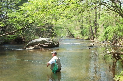 Wildlife Commission Unveils New Trout Fishing Information Webpage 