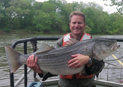 Roanoke River Striped Bass Harvest Season Ends April 30