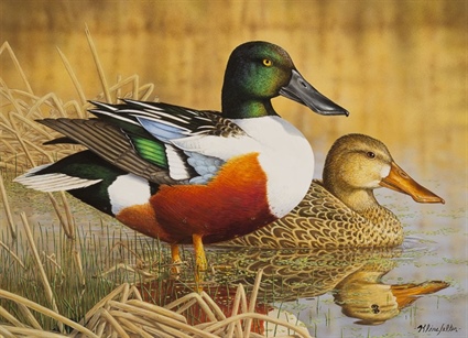2013 N.C. Waterfowl Conservation Stamp and Print Go on Sale July 1