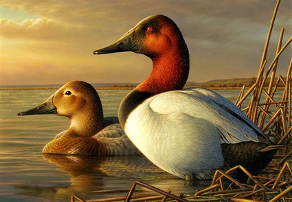 Federal Duck Stamp Will Be Available Electronically Aug. 1 