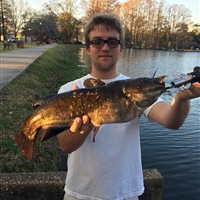 NC Record Bullhead Catfish
