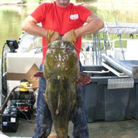 NC Record Flathead Catfish