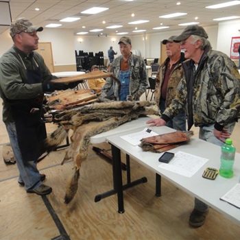 Kevin Myers Instructing how to stretch a pelt