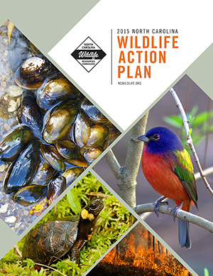 2015 Wildlife Action Plan Cover, featuring mollusks, a turtle and a painted bunting