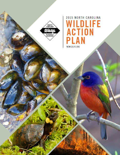 Wildlife Action Plan Cover Photo
